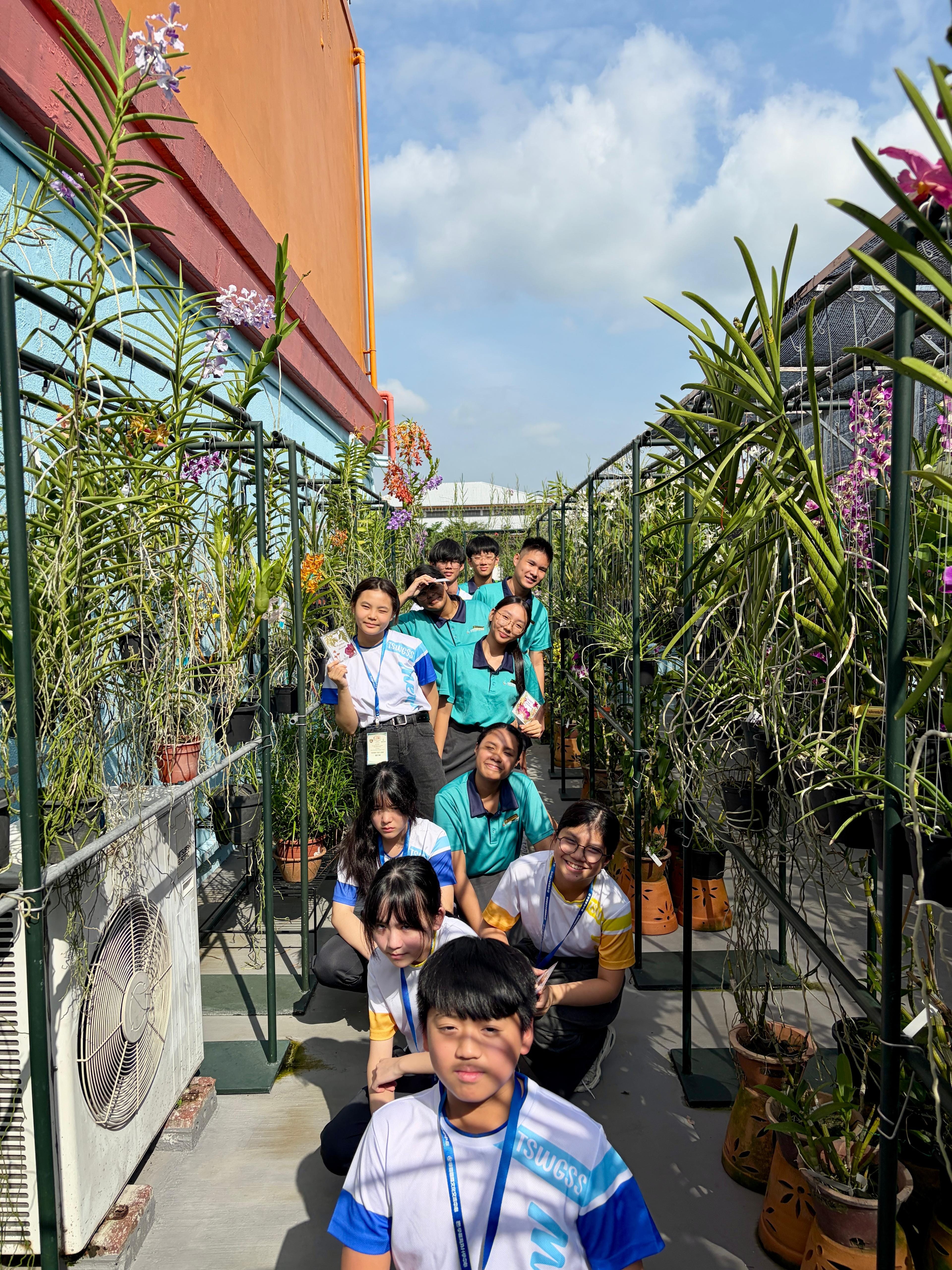 a group of students standing amongst orchids